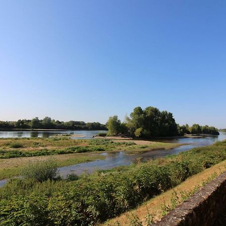 Gite Au Coeur Des Chateaux De La Loire Cour-sur-Loire Zewnętrze zdjęcie